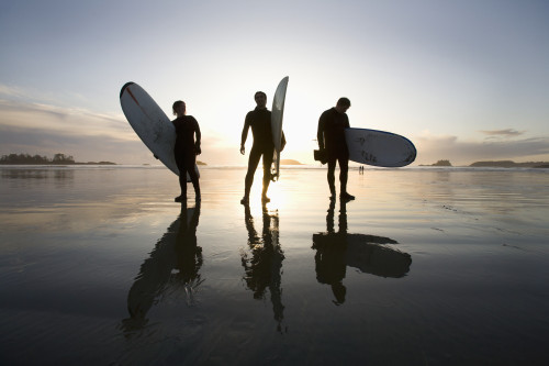 Silhouette Of Three Surfers Carrying Surfboards; Chesterman Beach Tofino Vancouver Island British Columbia Canada PosterPrint - Item # VARDPI1938894