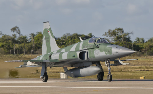 Brazilian Air Force F-5 at Natal Air Force Base, Brazil Poster Print - Item # VARPSTGCA100297M