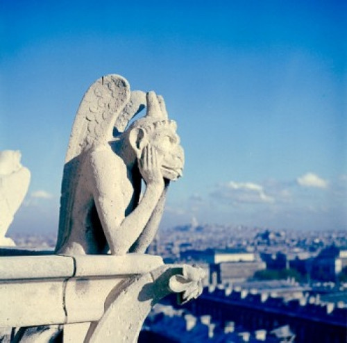 France  Paris  Notre Dame Cathedral  gargoyle Poster Print - Item # VARSAL255421449