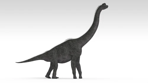Brachiosaurus dinosaur, white background Poster Print - Item # VARPSTKVA600715P