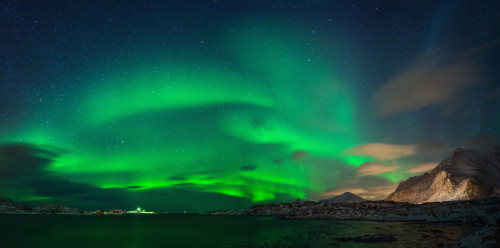 Aurora borealis above Ramberg, Lofoten, Nordland, Norway Poster Print - Item # VARPPI169413