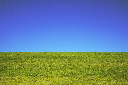 Hawaii, Oahu, Beautiful Landscape Of Green Grass And A Blue Sky. PosterPrint - Item # VARDPI1974318