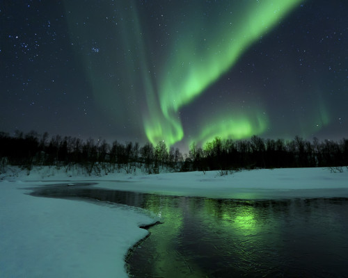 Reflected aurora over a frozen Laksa Lake, Nordland, Norway Poster Print - Item # VARPSTAHE100109S