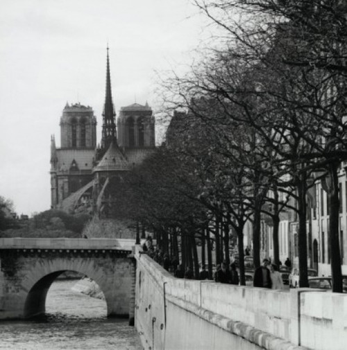 Cathedral near a river  Notre Dame  Paris  France Poster Print - Item # VARSAL9902183