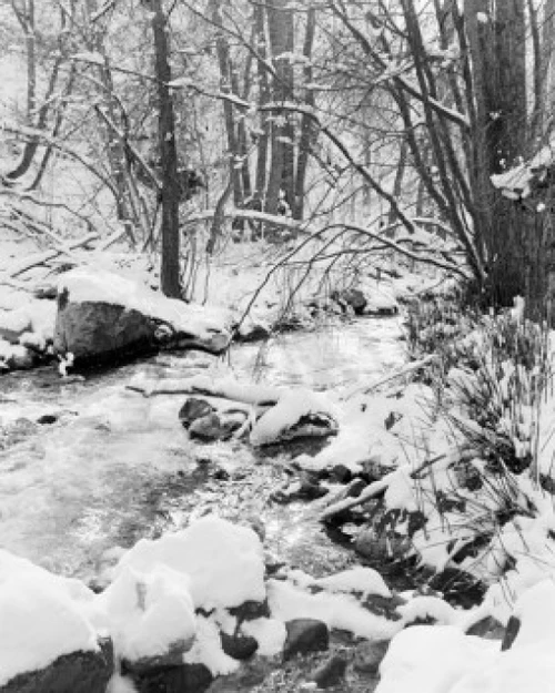Stream in winter Poster Print