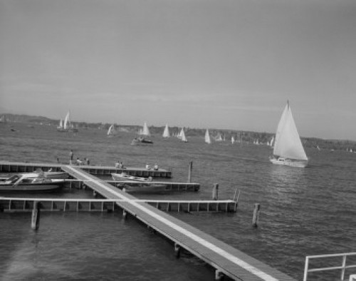 USA  Washington  Seattle  sailing on Lake Washington Poster Print - Item # VARSAL255422224