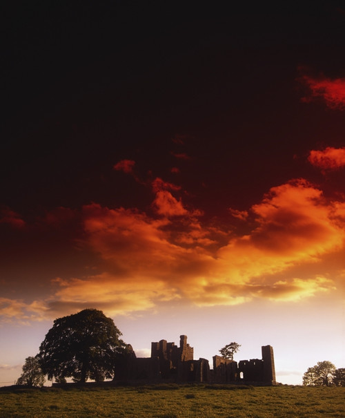 Co Meath, Bective Abbey, Ireland PosterPrint - Item # VARDPI1805093
