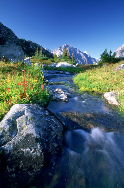 Nabob Pass, Mt. Mercator, Waddington Area, British Columbia. PosterPrint - Item # VARDPI2022171