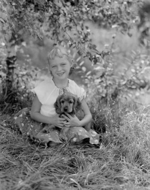 Girl holding puppy sitting on meadow Poster Print - Item # VARSAL255419295