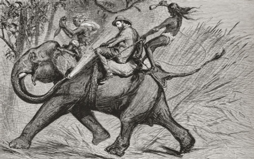 Cartoon of the Victorian era showing Albert Edward Prince of Wales, future King Edward VII , riding an elephant and being sprayed with water from its trunk. From Edward VII His Life and Times, published 1910. PosterPrint - Item # VARDPI2430545