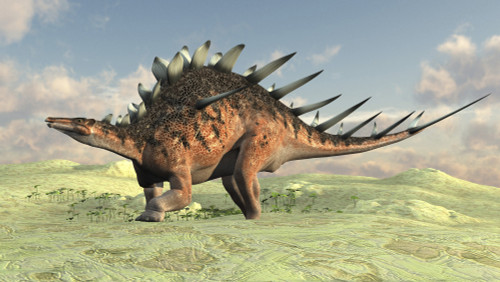 Kentrosaurus walking across a barren landscape Poster Print - Item # VARPSTKVA600534P
