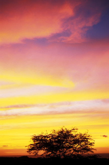Hawaii, Big Island, Sunset At Kohala Coast PosterPrint - Item # VARDPI1998119