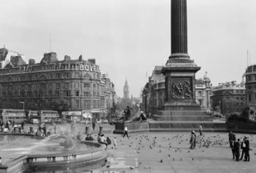 England  London  Trafalgar Square Poster Print - Item # VARSAL25514897