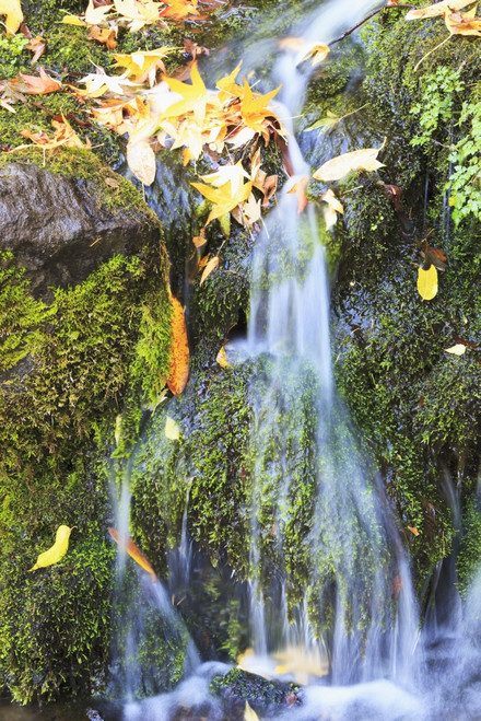 Oregon Cascades, Oregon, Usa PosterPrint - Item # VARDPI1868324