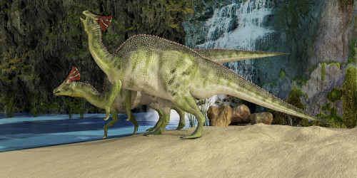 The Olorotitan was a duckbilled dinosaur from the Late Cretaceous and was found in Russia Poster Print - Item # VARPSTCFR200087P