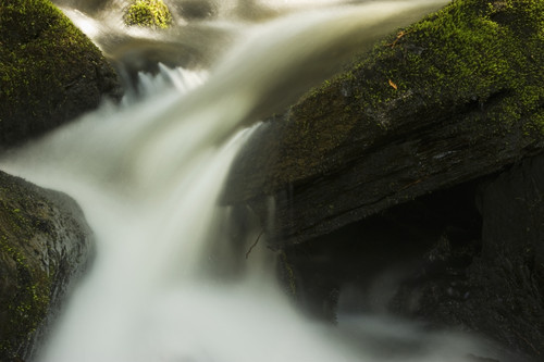 Stream water rushing down a mossy rock waterfall; Ontario, Canada PosterPrint - Item # VARDPI12256115