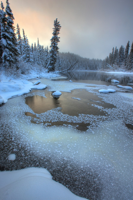 Morley River In Winter Near Teslin, Yukon PosterPrint - Item # VARDPI2040227
