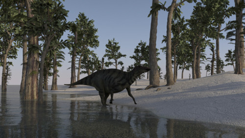 Shuangmiaosaurus walking along the shoreline of a prehistoric environment Poster Print - Item # VARPSTKVA600415P