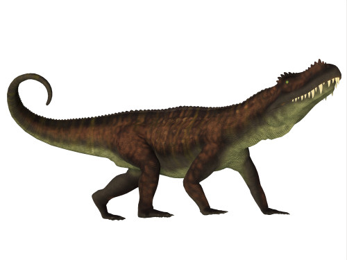 A fierce Prestosuchus dinosaur, side view. Prestosuchus was a carnivorous archosaur dinosaur that lived in the Triassic Period of Brazil Poster Print - Item # VARPSTCFR200680P