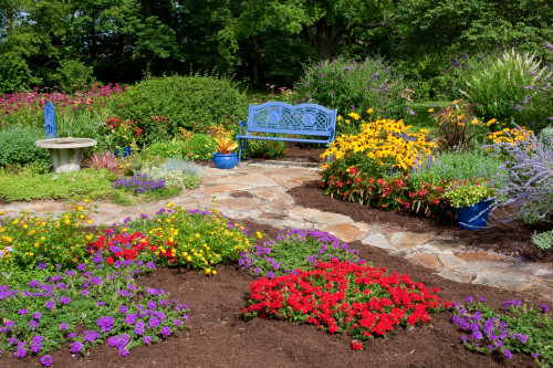 Elevated view of a flower garden, Marion County, Illinois, USA Poster Print - Item # VARPPI169160