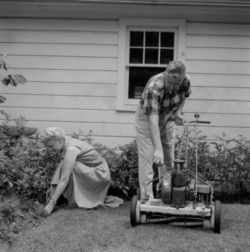 Senior couple mowing grass in backyard Poster Print - Item # VARSAL255417543