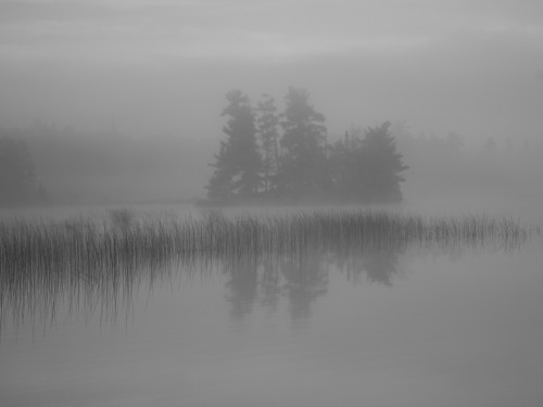 Lake Of The Woods, Ontario, Canada; Mist Rises Over Lake PosterPrint - Item # VARDPI1837665