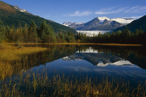 Mendenhall Glacier & Coast Mtns Reflecting In Pond Southeast Alaska Summer Tongass National Forest PosterPrint - Item # VARDPI2172400