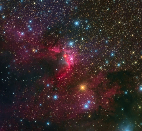 The Cave Nebula is a bright star forming region in the constellation Cepheus. Poster Print
