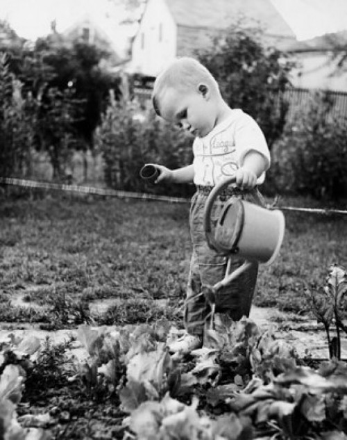 Side profile of a boy watering plants Poster Print - Item # VARSAL255242