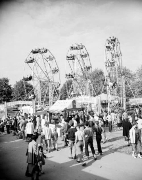 Amusement park Poster Print - Item # VARSAL255416150