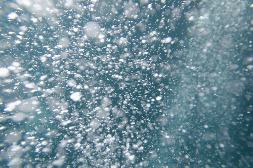Bubbles Underwater; Galapagos, Equador PosterPrint - Item # VARDPI1964385