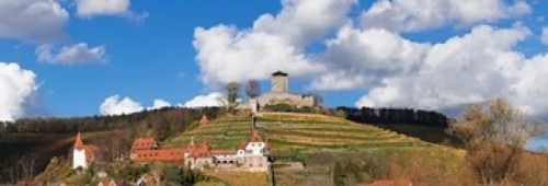 Hohenbeilstein Castle  Baden-Wurttemberg  Germany Poster Print by Panoramic Images (36 x 12) - Item # PPI158432