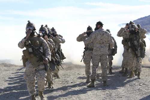 Marines and sailors participate in an outdoor gas exercise in full protective gear Poster Print - Item # VARPSTSTK104353M