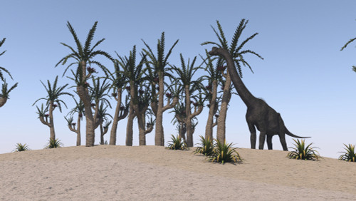 Large Brachiosaurus grazing on an island Poster Print - Item # VARPSTKVA600484P