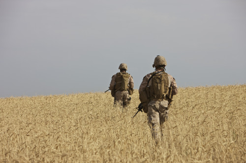 U.S. Marines patrol a wadi near Kunduz, Afghanistan clearing it for a range exercise Poster Print - Item # VARPSTTMO100297M U.S. Marines patrol a wadi near Kunduz, Afghanistan clearing it for a range exercise Poster Print - Item # VARPSTTMO100297M