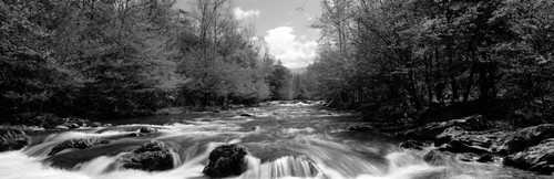 River flowing through rocks in a forest, Little Pigeon River, Great Smoky Mountains National Park, Sevier County, Tennessee, USA Poster Print - Item # VARPPI172759