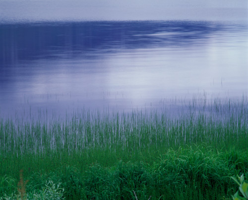 http://c328301.r1.cf1.rackcdn.com/PPI121282S.jpg