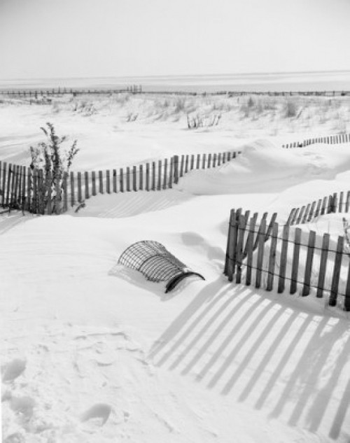 Snowy beach Poster Print - Item # VARSAL255416180