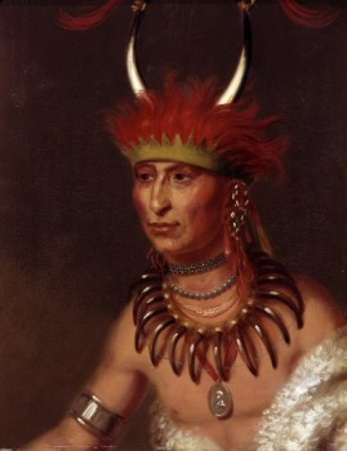 Shaumonekusse   Prairie Wolf   An Oto Chief by Charles Bird King   Poster Print - Item # VARSAL900128650