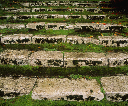 Steps On The Central Walk, Lismore Castle, Co Waterford, Ireland PosterPrint - Item # VARDPI1798366
