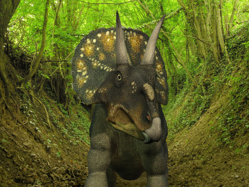 A Nedoceratops wanders a Cretaceous forest Poster Print - Item # VARPSTWMY100199P