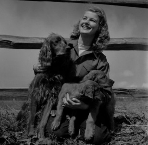 Young woman with cocker spaniels Poster Print