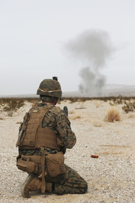February 2, 2013 - U.S. Marine provides security as part of a training assault during Exercise Iron Fist 2013, aboard Marine Corps Air Ground Combat Center, Twentynine Palms, California. Poster Print - Item # VARPSTSTK106916M