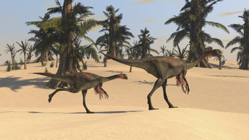 Two Gigantoraptors in desert landscape Poster Print - Item # VARPSTKVA600336P