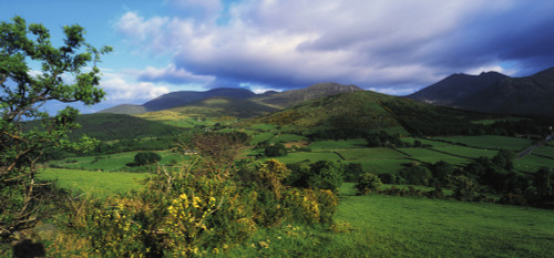 Slieve Bearnagh, Mourne Mountains, Co Down, Ireland; Longview Of Meadow Towards Mountains From Trassey Road PosterPrint - Item # VARDPI1803421