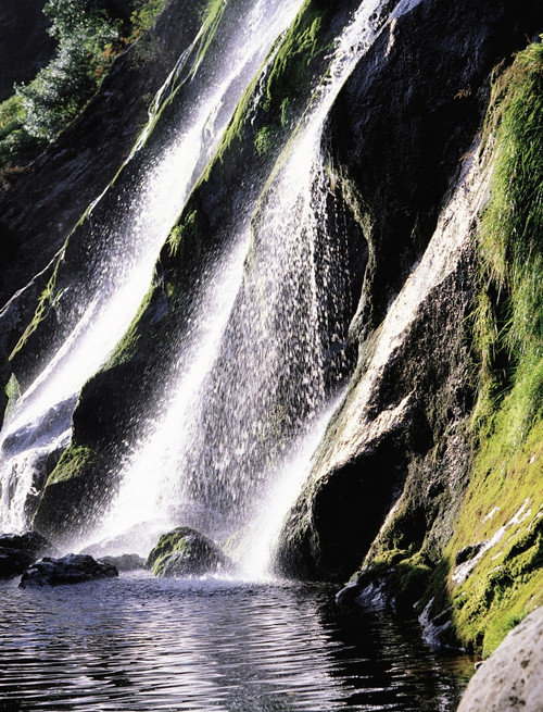 Powerscourt Waterfall, Co Wicklow, Ireland PosterPrint - Item # VARDPI1802404