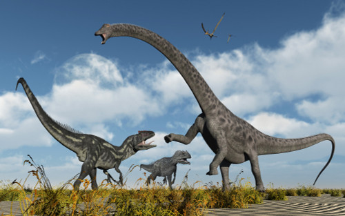 A pair of carnivorous Allosaurus dinosaurs confront a giant Diplodocus sauropod during Earth's Jurassic period of time Poster Print - Item # VARPSTMAS100715P