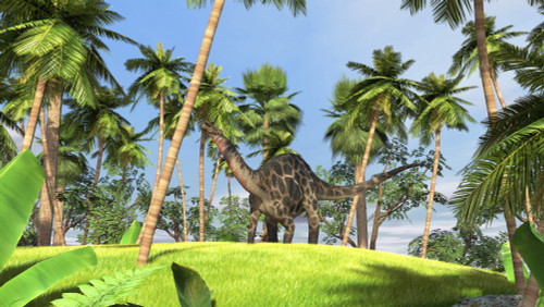 Dicraeosaurus in a prehistoric forest Poster Print - Item # VARPSTKVA600653P