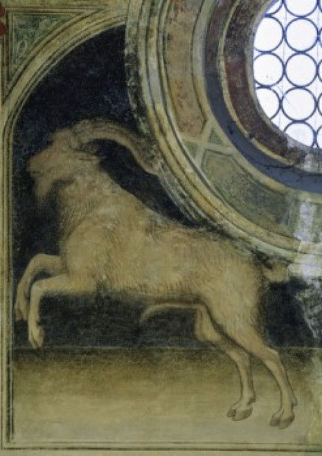 Capricorn - Astrology  Artist Unknown  Palazzo della Ragione  Padua  Italy Poster Print - Item # VARSAL263509