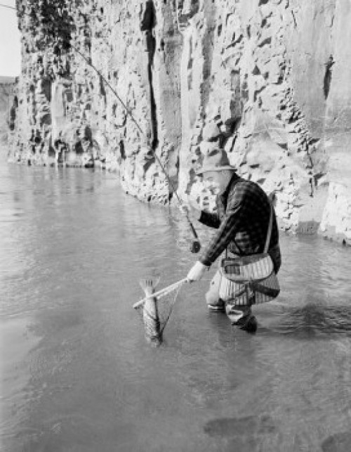 Senior man fly-fishing Poster Print - Item # VARSAL255423035